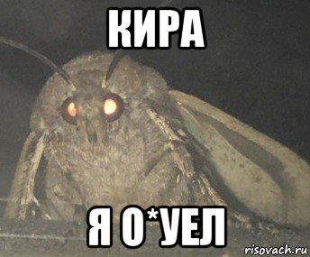 кира я о*уел, Мем Матылёк