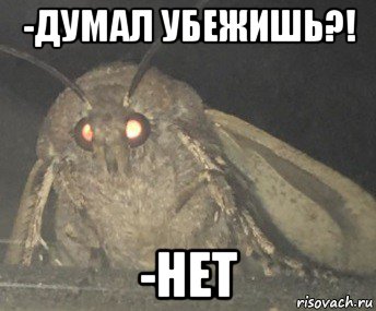 -думал убежишь?! -нет