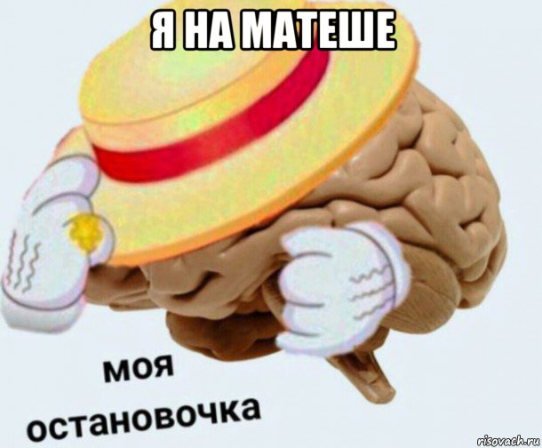 я на матеше , Мем   Моя остановочка мозг