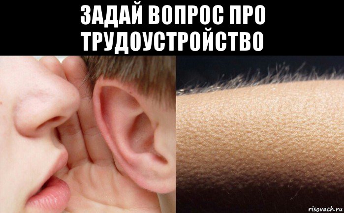 задай вопрос про трудоустройство 