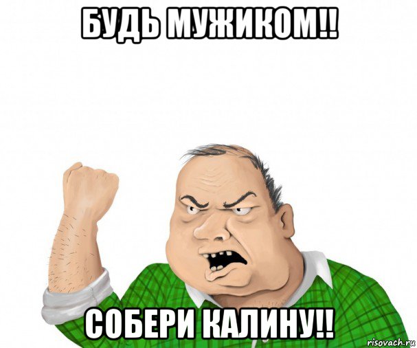 будь мужиком!! собери калину!!, Мем мужик