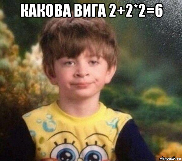 какова вига 2+2*2=6 , Мем Недовольный пацан