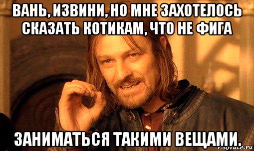 вань, извини, но мне захотелось сказать котикам, что не фига заниматься такими вещами., Мем Нельзя просто так взять и (Боромир мем)