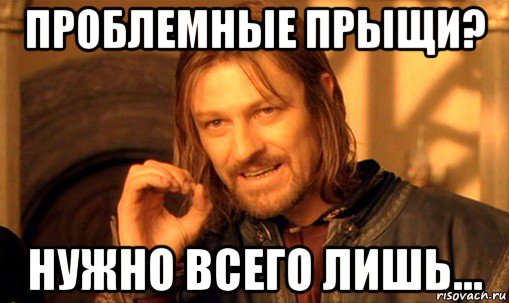 проблемные прыщи? нужно всего лишь..., Мем Нельзя просто так взять и (Боромир мем)