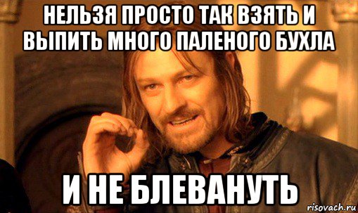 нельзя просто так взять и выпить много паленого бухла и не блевануть, Мем Нельзя просто так взять и (Боромир мем)