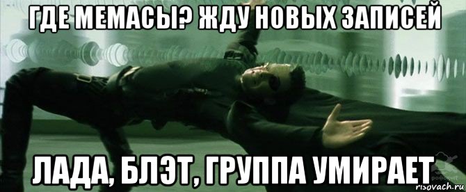 где мемасы? жду новых записей лада, блэт, группа умирает