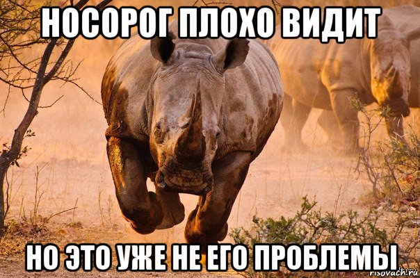 носорог плохо видит но это уже не его проблемы, Мем носорог