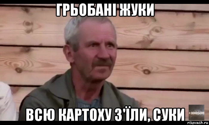 грьобані жуки всю картоху з'їли, суки, Мем  Охуевающий дед