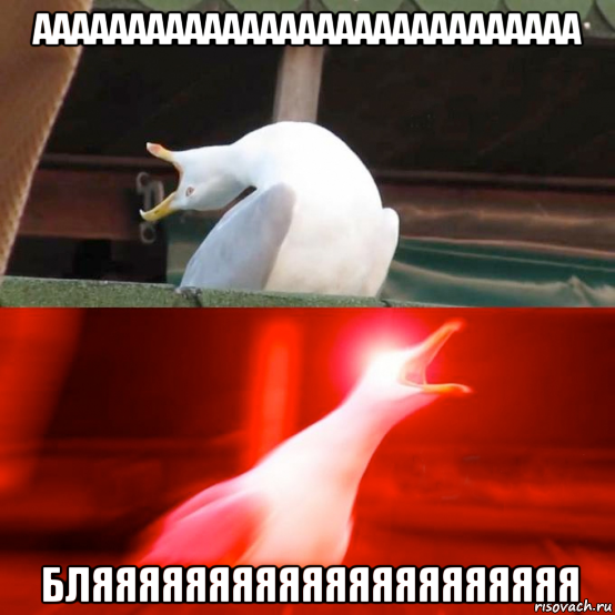 ааааааааааааааааааааааааааааа бляяяяяяяяяяяяяяяяяяяяя