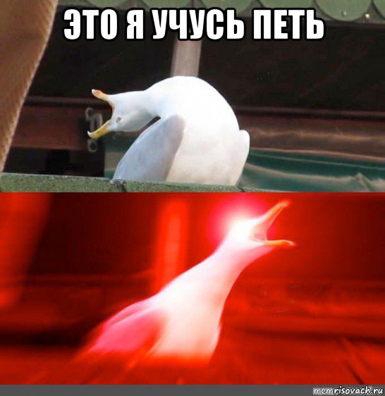 это я учусь петь 