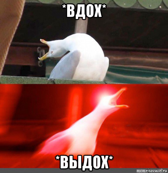 *вдох* *выдох*