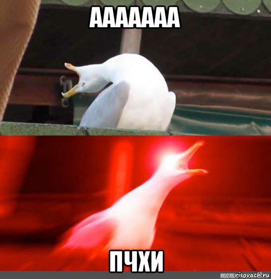ааааааа пчхи
