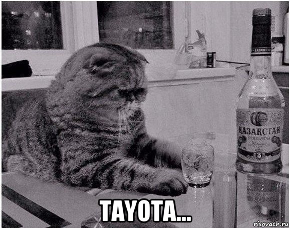  tayota...