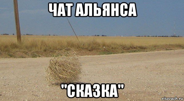 чат альянса "сказка", Мем перекати-поле одиночество