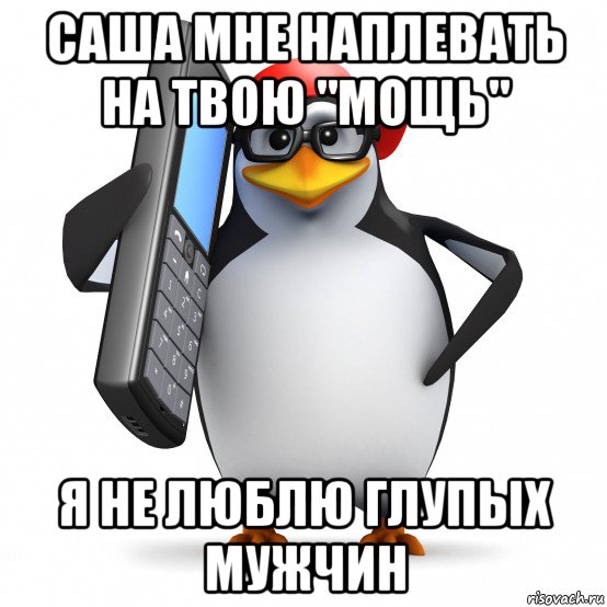 саша мне наплевать на твою "мощь" я не люблю глупых мужчин, Мем   Пингвин звонит