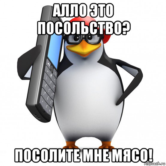 алло это посольство? посолите мне мясо!, Мем   Пингвин звонит