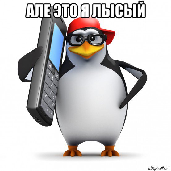 але это я лысый 