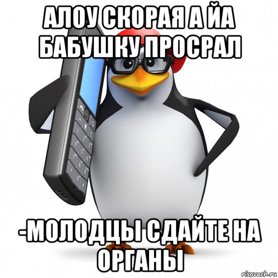 алоу скорая а йа бабушку просрал -молодцы сдайте на органы, Мем   Пингвин звонит