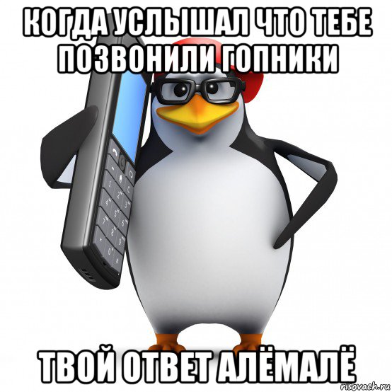 когда услышал что тебе позвонили гопники твой ответ алёмалё, Мем   Пингвин звонит