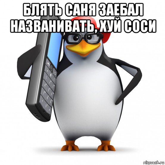 блять саня заебал названивать, хуй соси , Мем   Пингвин звонит