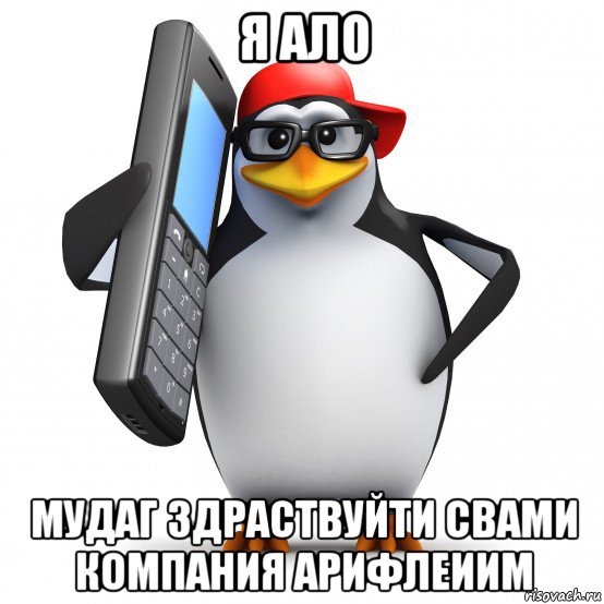 я ало мудаг здраствуйти свами компания арифлеиим, Мем   Пингвин звонит