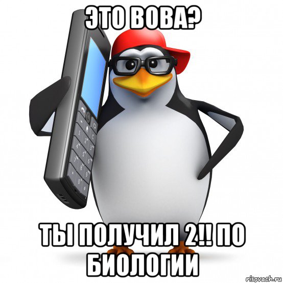 это вова? ты получил 2!! по биологии, Мем   Пингвин звонит