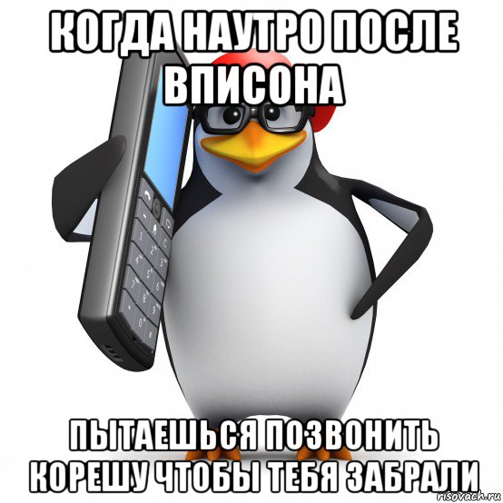 когда наутро после вписона пытаешься позвонить корешу чтобы тебя забрали, Мем   Пингвин звонит