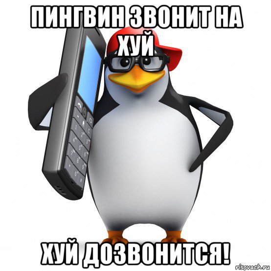 пингвин звонит на хуй хуй дозвонится!, Мем   Пингвин звонит