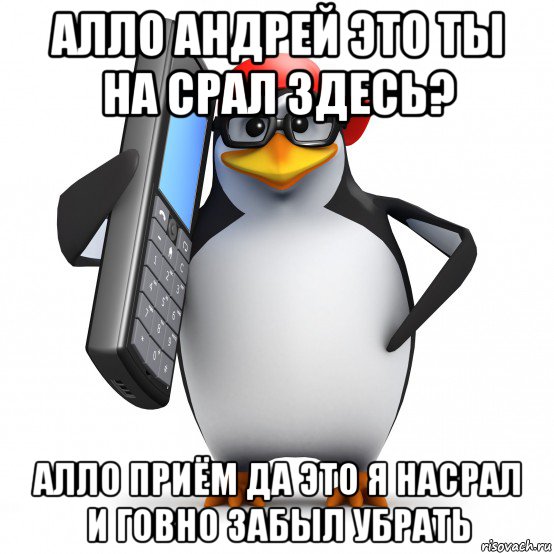 алло андрей это ты на срал здесь? алло приём да это я насрал и говно забыл убрать, Мем   Пингвин звонит