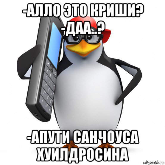 -алло это криши? -даа..? -апути санчоуса хуилдросина, Мем   Пингвин звонит