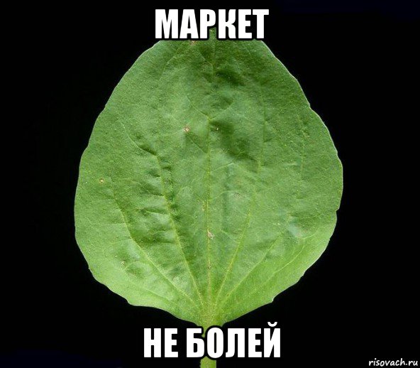 маркет не болей, Мем Подорожник
