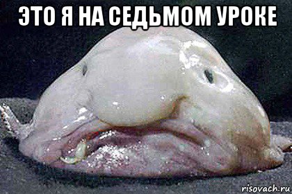 это я на седьмом уроке , Мем Рыба-капля