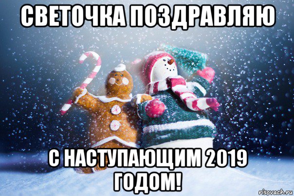 светочка поздравляю с наступающим 2019 годом!