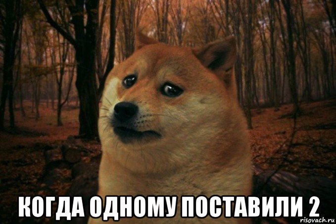  когда одному поставили 2, Мем SAD DOGE