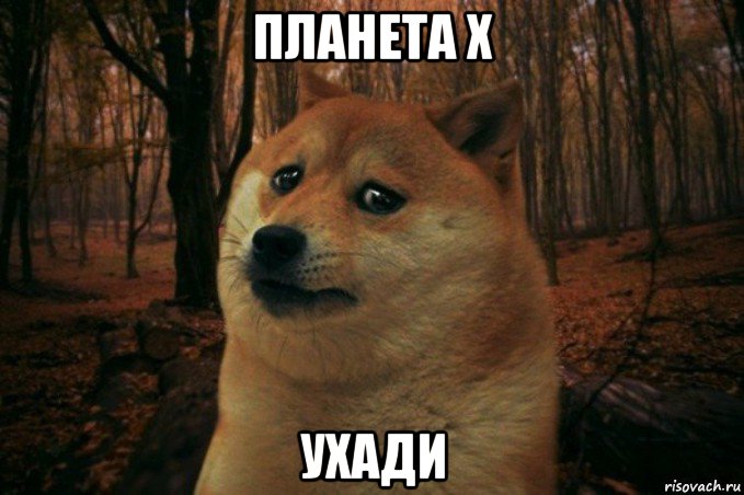 планета х ухади, Мем SAD DOGE