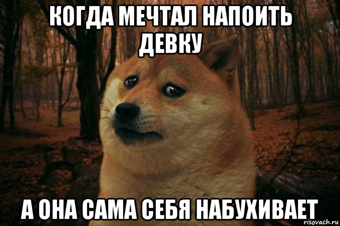 когда мечтал напоить девку а она сама себя набухивает, Мем SAD DOGE