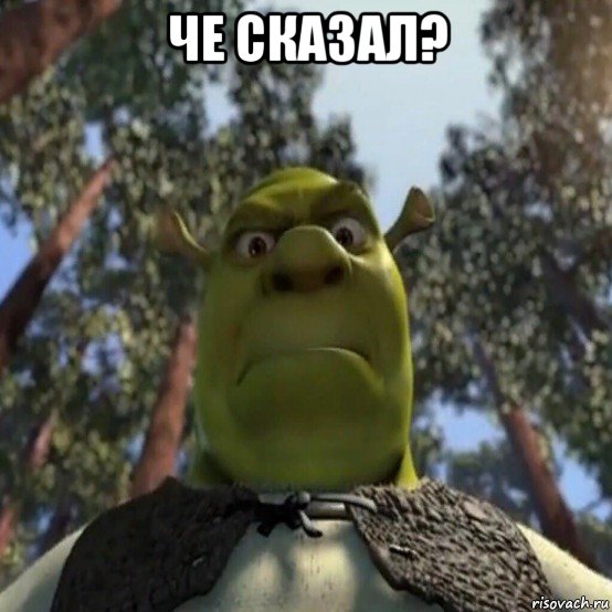 че сказал? , Мем Шрек