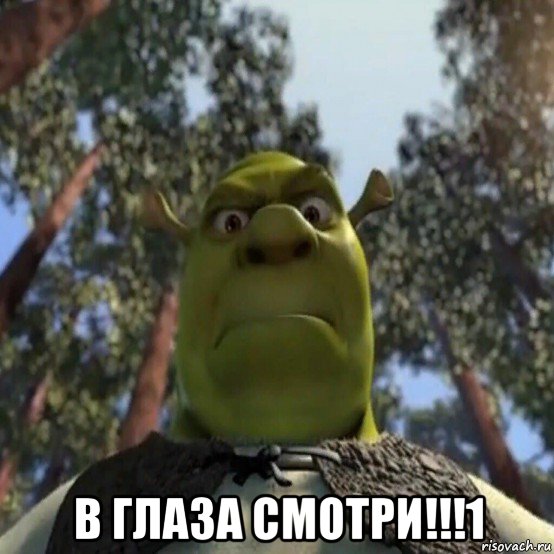  в глаза смотри!!!1, Мем Шрек