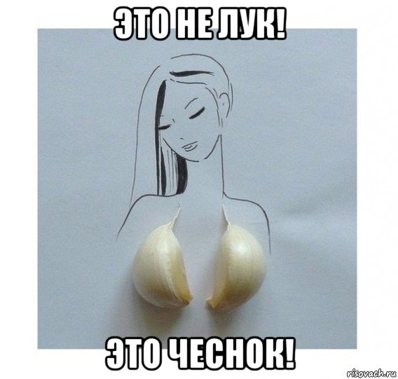это не лук! это чеснок!