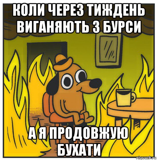 коли через тиждень виганяють з бурси а я продовжую бухати
