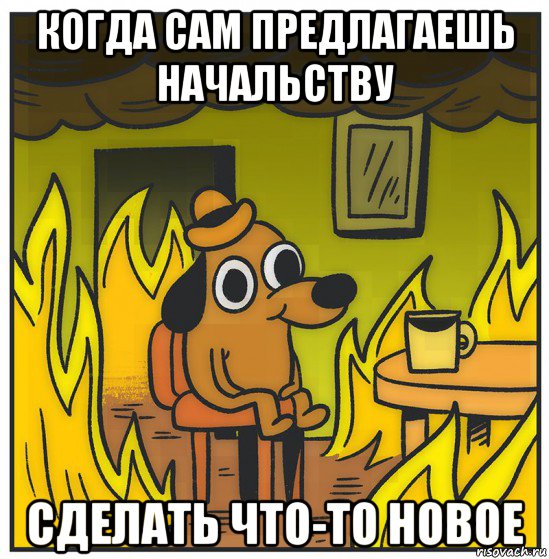 когда сам предлагаешь начальству сделать что-то новое