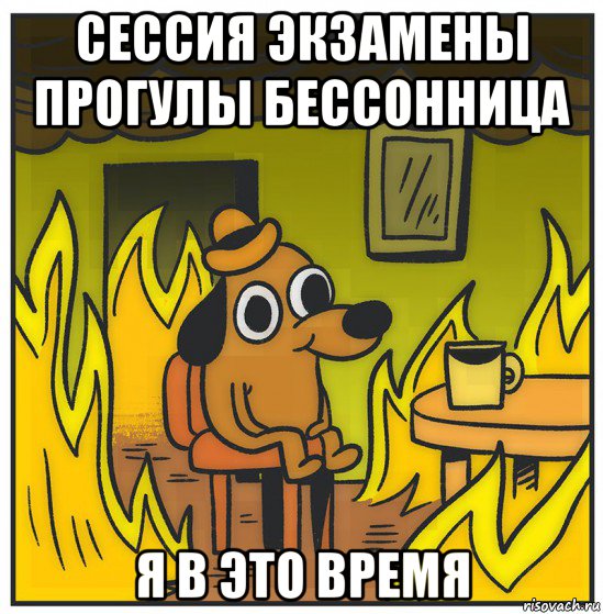 сессия экзамены прогулы бессонница я в это время