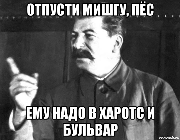 отпусти мишгу, пёс ему надо в харотс и бульвар, Мем  Сталин пригрозил пальцем