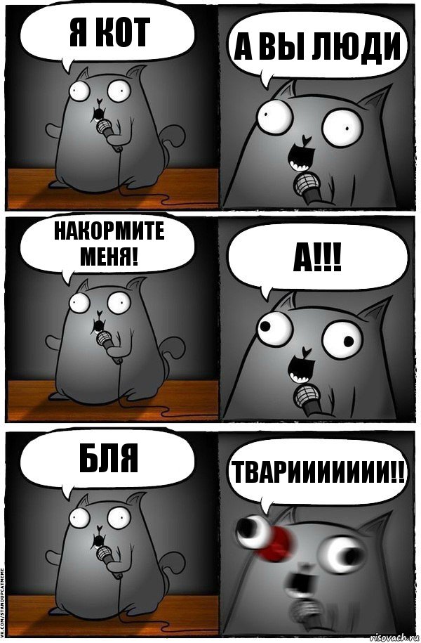 я кот а вы люди накормите меня! а!!! бля твариииииии!!, Комикс  Стендап-кот