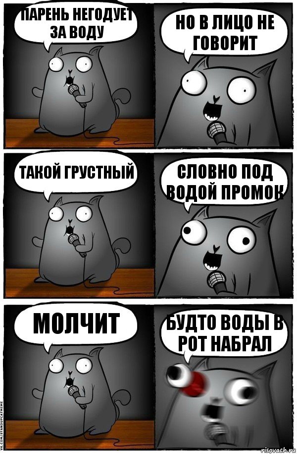 Парень негодует за воду Но в лицо не говорит Такой грустный Словно под водой промок Молчит Будто воды в рот набрал, Комикс  Стендап-кот