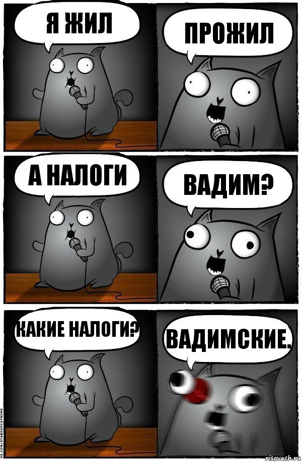 Я жил прожил А налоги Вадим? Какие налоги? Вадимские., Комикс  Стендап-кот