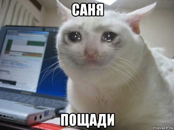 саня пощади
