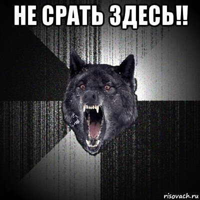 не срать здесь!! , Мем Сумасшедший волк