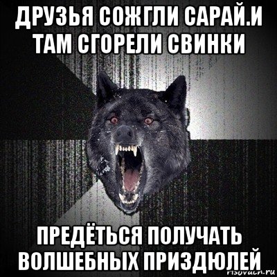 друзья сожгли сарай.и там сгорели свинки предёться получать волшебных приздюлей, Мем Сумасшедший волк