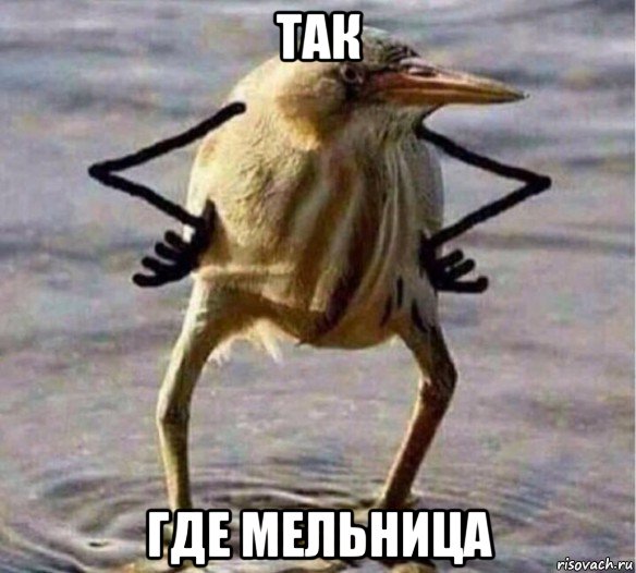 так где мельница, Мем Так Блэт